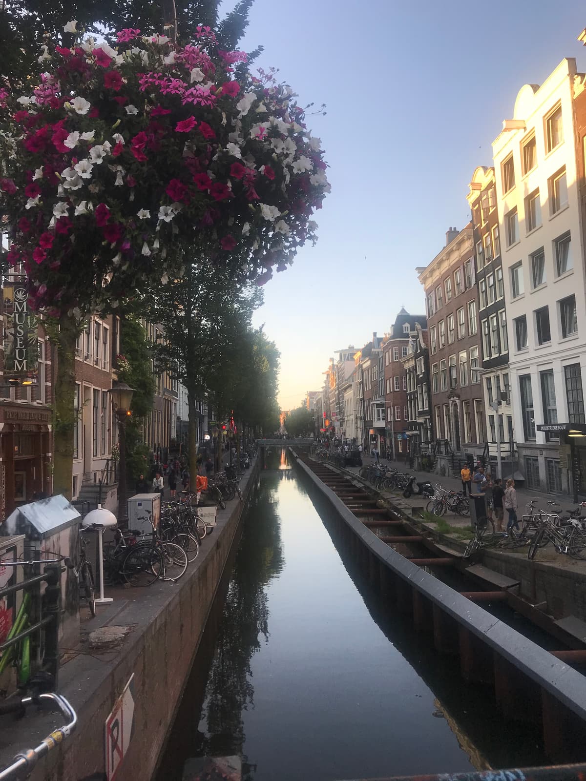 Beneficios de ser Coach