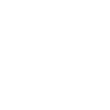 Logo tripsy