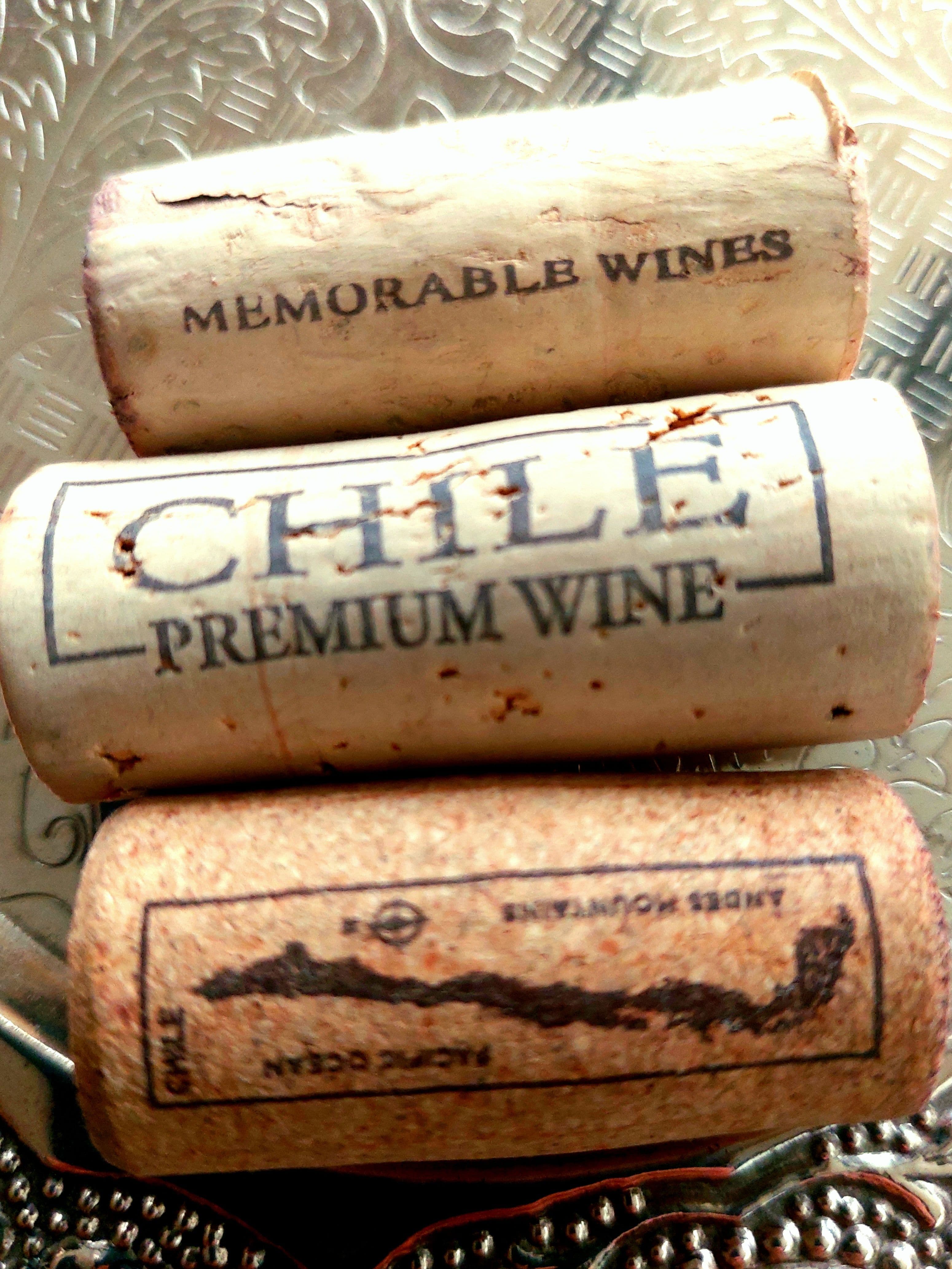 Elige las mejores experiencias enoturisticas cerca de Santiago de Chile