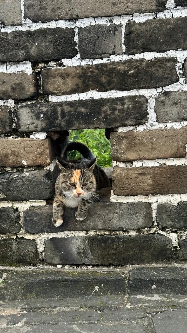 De la Muralla a Tiananmén: Beijing en 48 horas ¡se puede! 🇨🇳🥡🏮 3