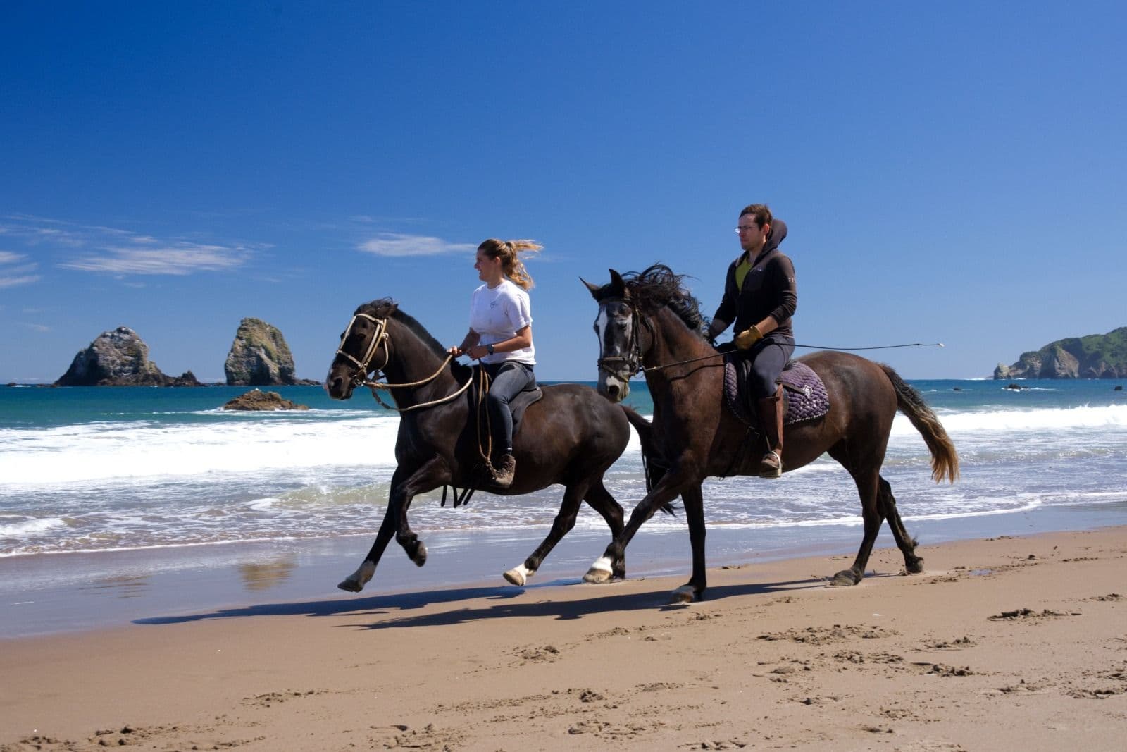Paseos a caballo en los Muermos