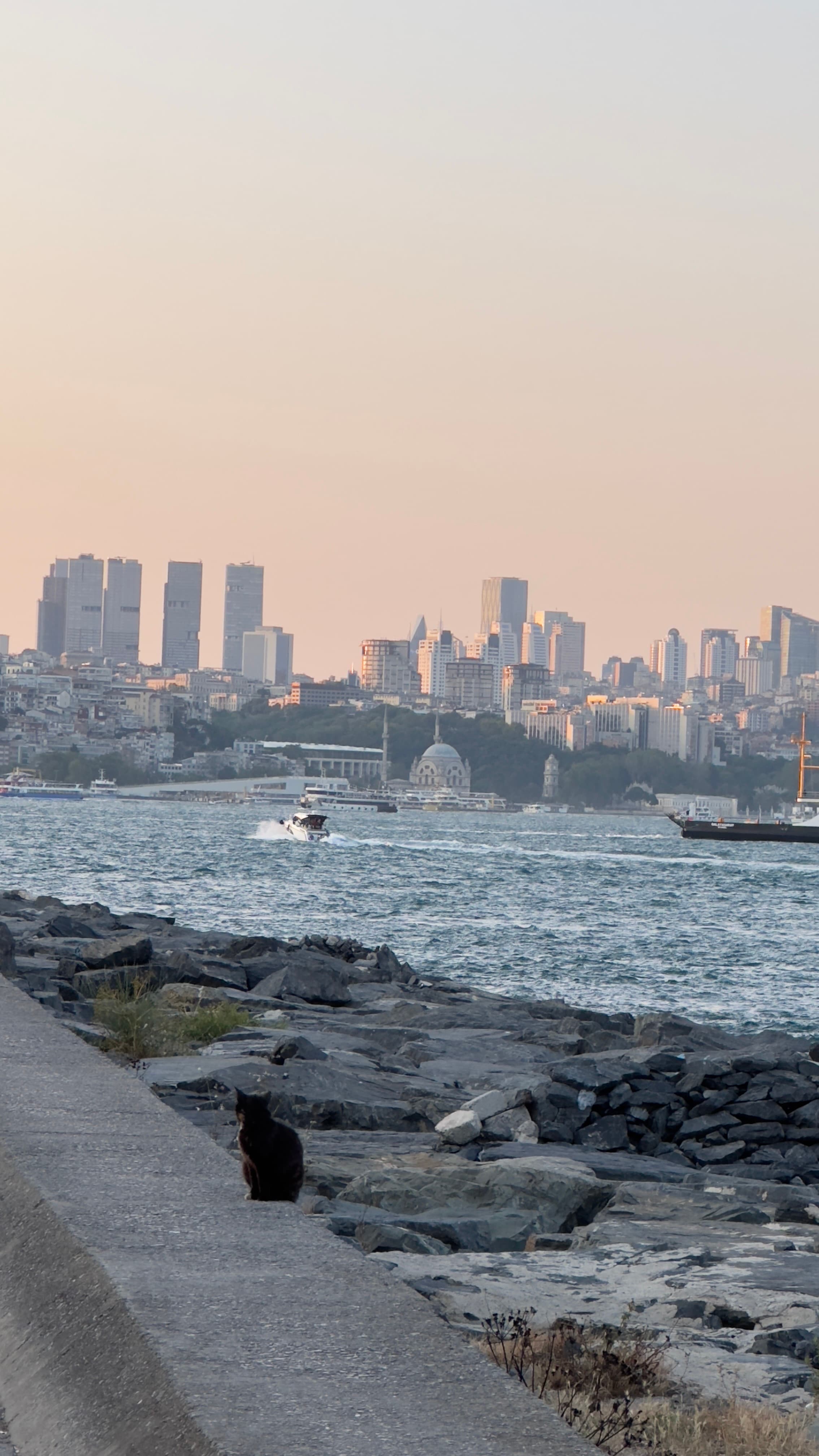 Estambul: desayunar en Europa y almorzar en Asia 🇹🇷 6
