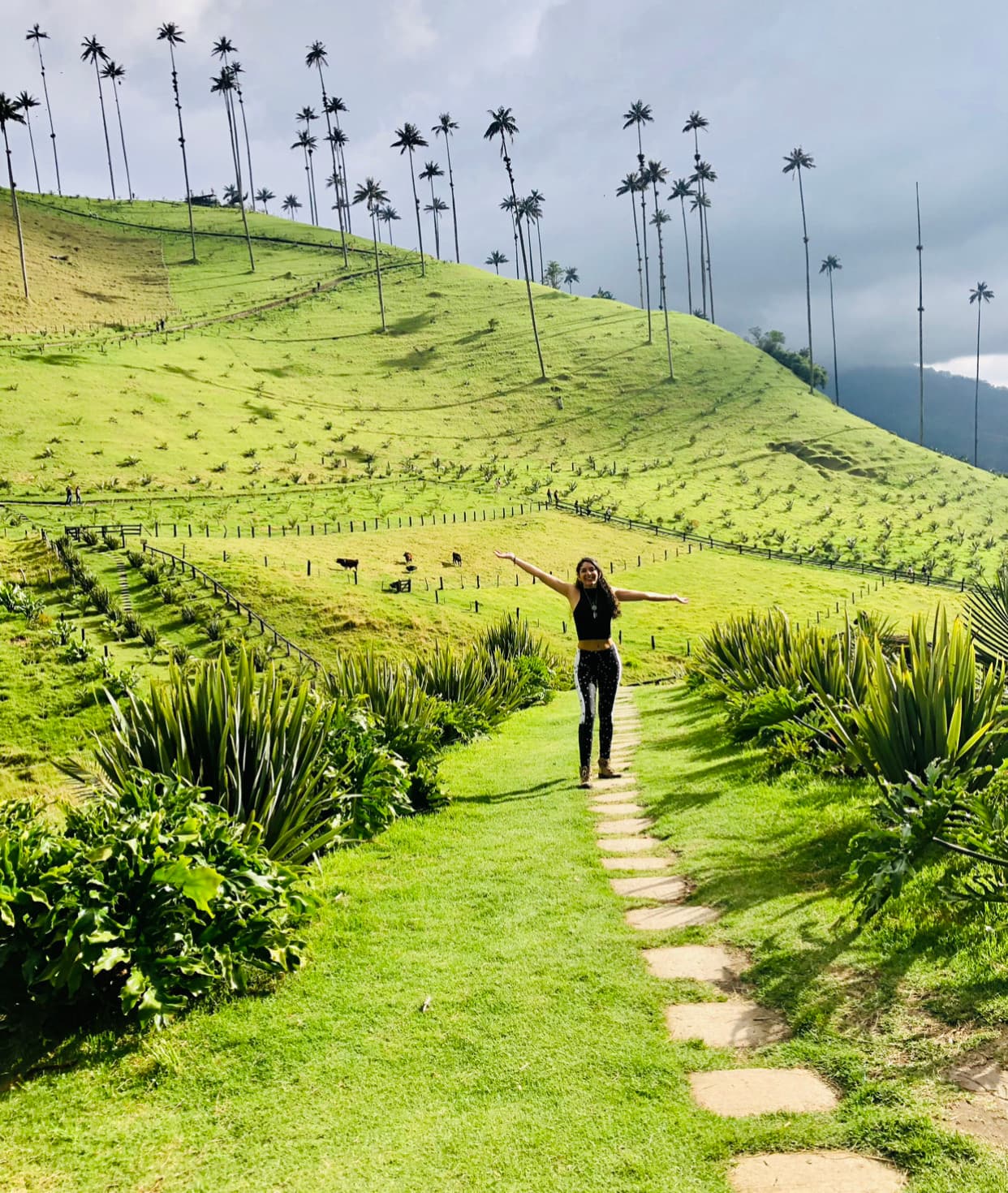 Sudamérica y Centro América como nadie te la contó 9