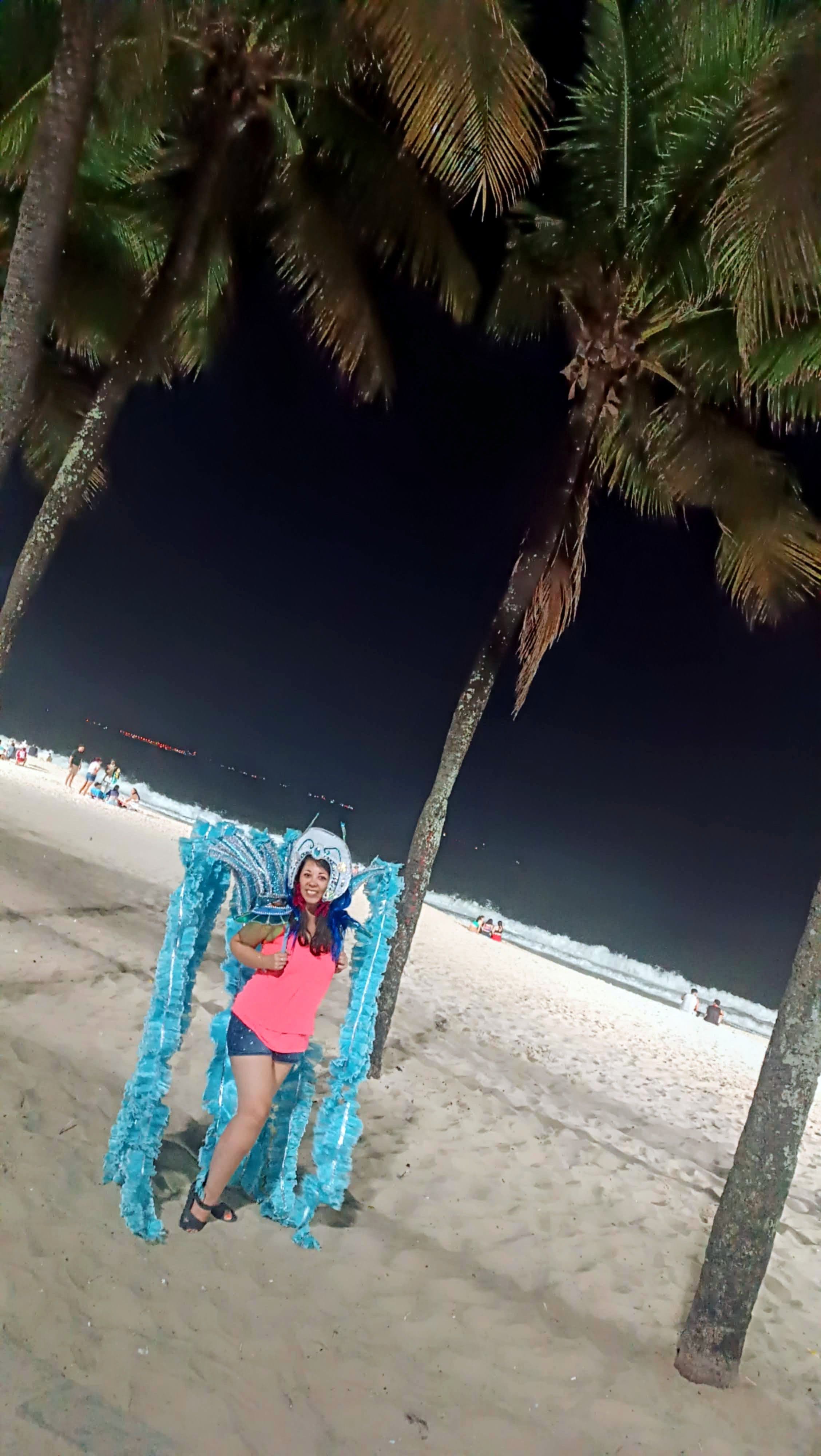 🇧🇷🌈Brasil/Rio de Janeiro: "Carnaval de Río" La fiesta que nunca termina.