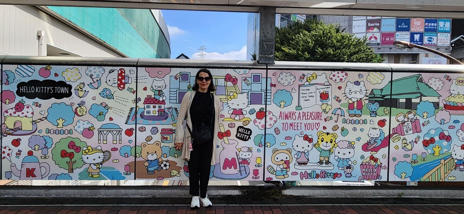 Optimiza tu tiempo y presupuesto en Japón y Corea del Sur!!